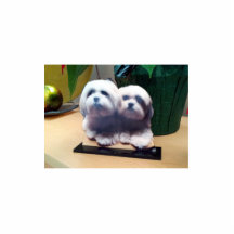 Escultura acrílica feita sob encomenda de alta