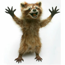 GUAXINIM FURIOUSLY FELIZ