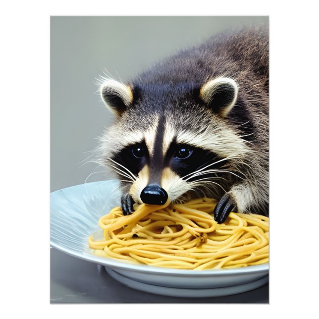 Foto Espaguete de Comida Raccoon (Frente)