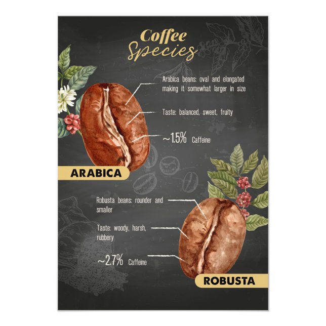 Foto Espécie De Café Ao Longo Do Café (Frente)