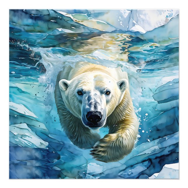 Foto Espelhamento Ártico: O Monarca Nadador (Frente)