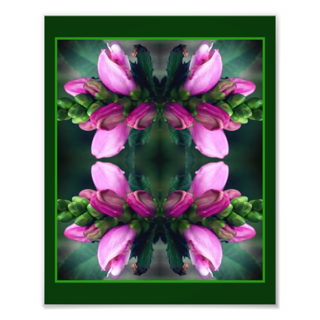 Foto Espelho de Flor Turtlehead Rosa Abstrato 8x10 (Frente)