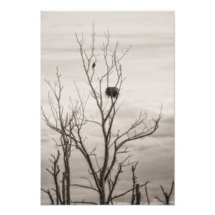 Foto Esperando a vida