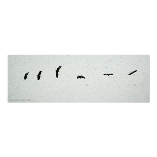 Foto Espírito do Voo (Frente)