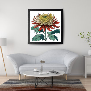 Foto Esplendor De Chrysanthemum Vibrante