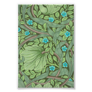 Foto Esqueça-me-Nots, Wallpaper de William Morris