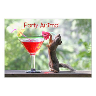 Foto Esquilo de Animais de Partida