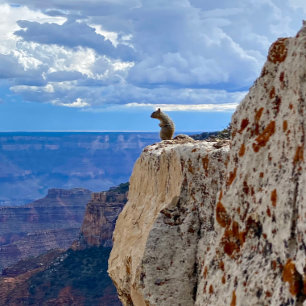 Foto Esquilo no Grand Canyon National Park North Rim