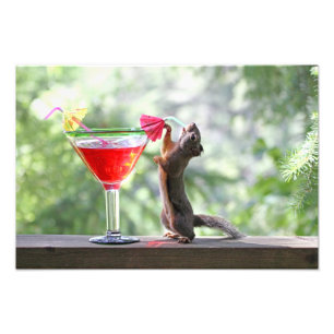 Foto Esquilo que bebe um cocktail no happy hour