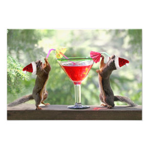 Foto Esquilos do papai noel que bebem um cocktail