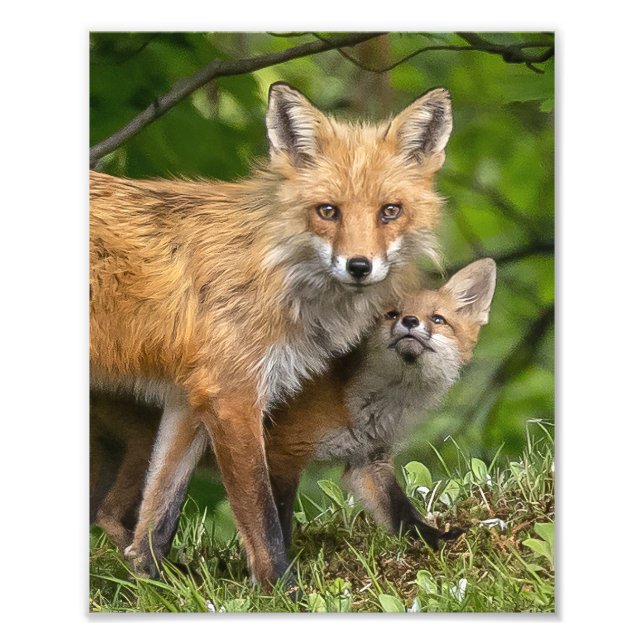 Foto Esse é o meu Pai (Frente)