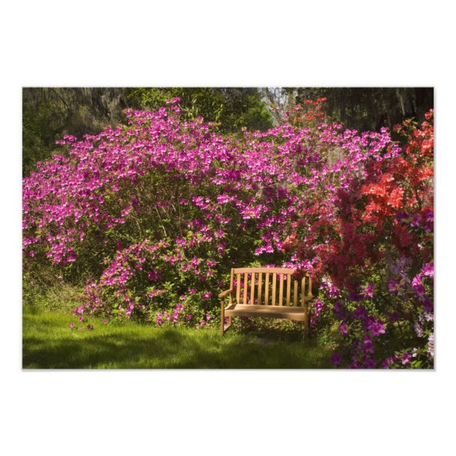 Foto Estados Unidos; Carolina do Sul; Charleston; (Frente)