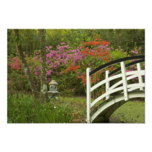 Foto Estados Unidos; Carolina do Sul; Charleston;5