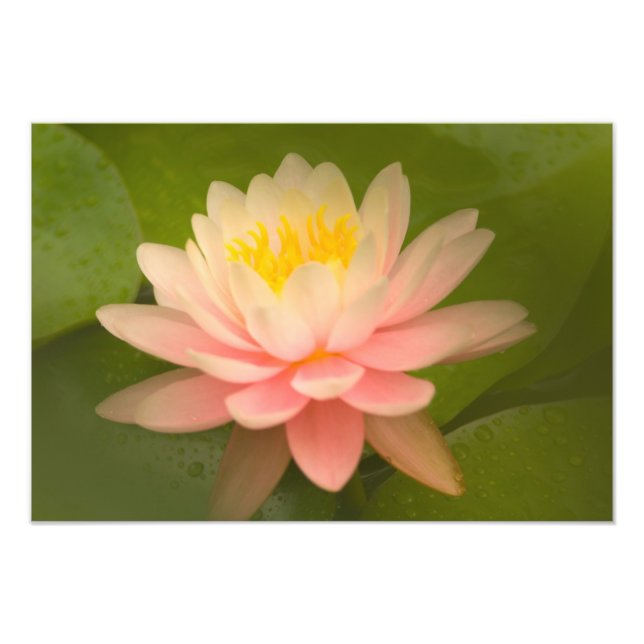 Foto Estados Unidos, Maryland, Westminster, União (Frente)