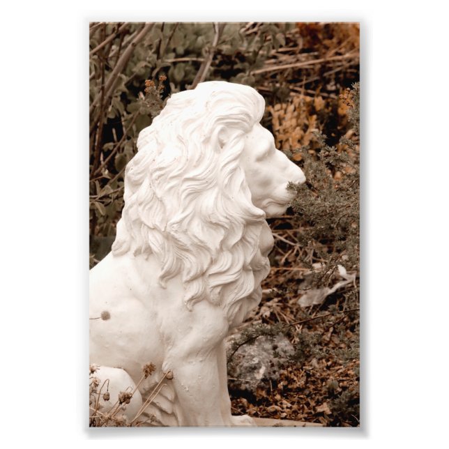 Foto Estátua do Leão de Pedra Branca Corajosa (Frente)