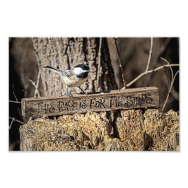 Foto Este lugar é para as aves