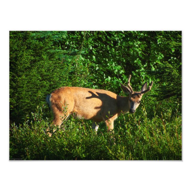 Foto Esteja a caminho (Frente)