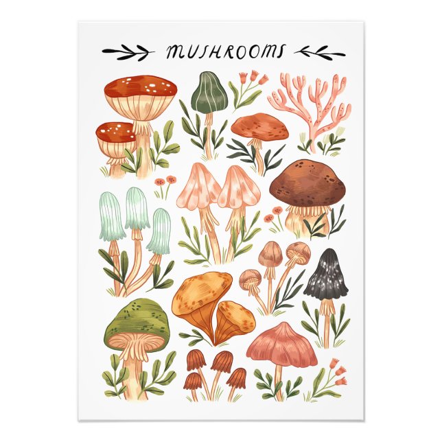 Foto Estilo de Cogumelos Caçadores de Cogumelos (Frente)