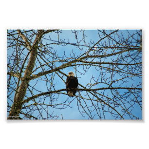 Foto Estou te observando