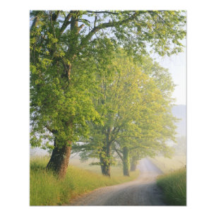Foto Estrada coberta de nevoeiro, Cades Cove, Grande Sm