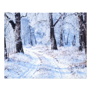 Foto Estrada do inverno
