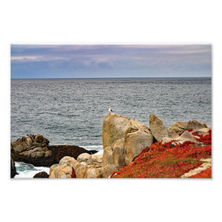 Foto Estrada dos 17 Milhas