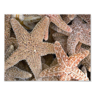 Foto Estrela do mar toda ao redor