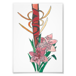 Foto Estrela Ninja Estampa Floral
