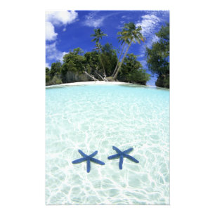 Foto Estrelas do mar, Ilhas Rochosas, Palau