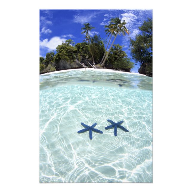 Foto Estrelas do mar, Ilhas Rock, Palau 2 (Frente)