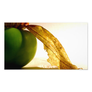 Foto Estudo Tomatillo