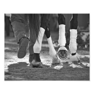 Foto Etapa agradàvel