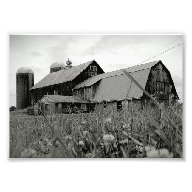 Foto Eterno (Frente)