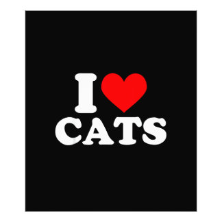 Foto Eu Adoro Gatos - Eu Adoro Gatos Eu Amo Gatos