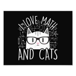 Foto Eu Adoro Matemática E Gatos Gatinhos Bonitos