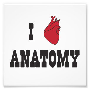 Foto Eu amo a anatomia