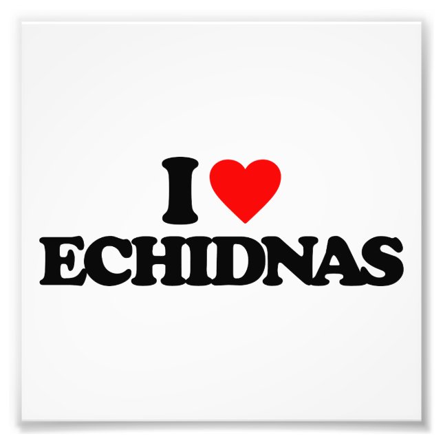 FOTO EU AMO ECHIDNAS (Frente)
