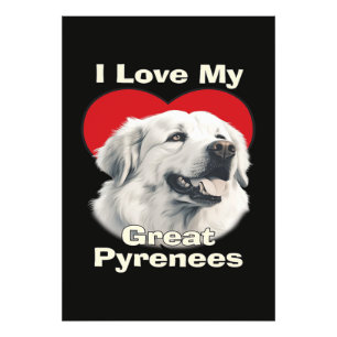 Foto Eu amo meu cachorro Grande Pirineus