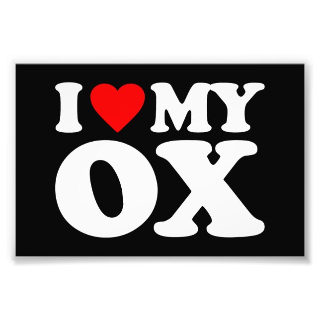 FOTO EU AMO MEU OX (Frente)