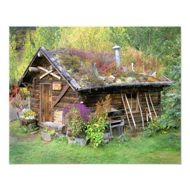 Foto EUA, Alasca, Parque Nacional Denali, Kantishna. (Frente)