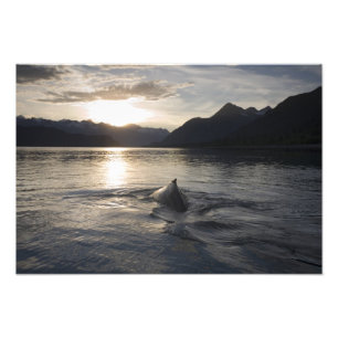 Foto EUA, Alasca, Parque Nacional Glacier Bay,