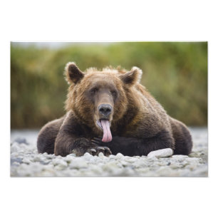 Foto EUA, Alasca, Parque Nacional Katmai, Baía de Kukak