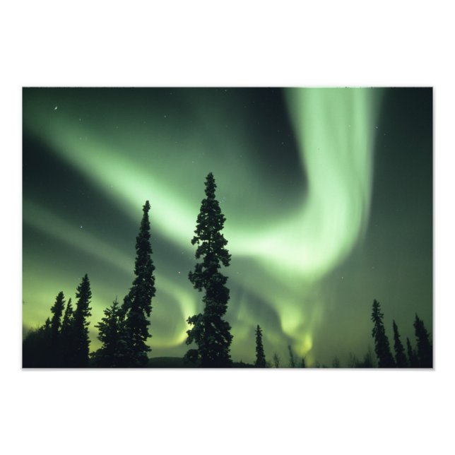 Foto EUA, área de Fairbanks, Alasca Central, Aurora 2 (Frente)
