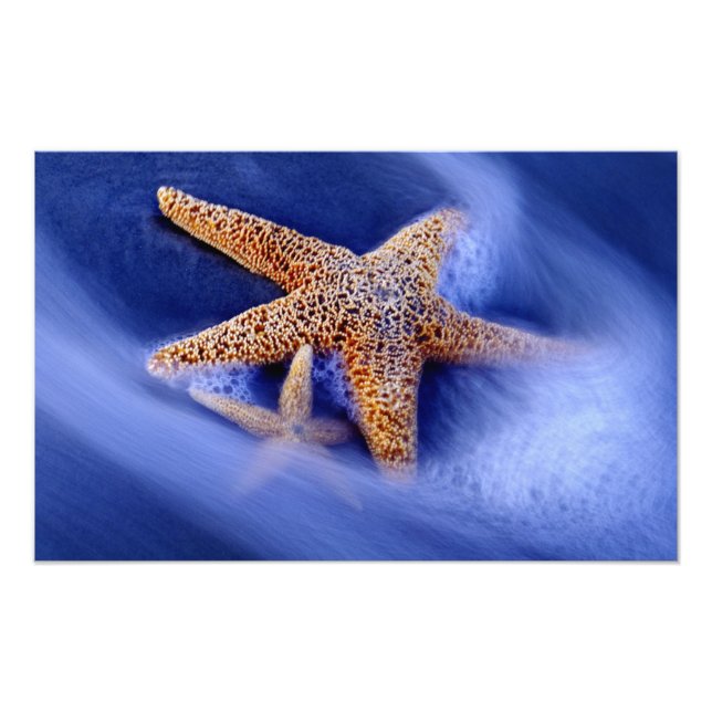 Foto EUA, Carolina do Sul, Ilha Hilton Head. Dois (Frente)