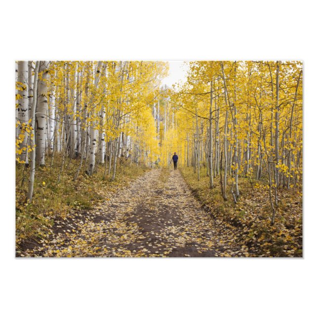 Foto EUA, Colorado, Floresta Nacional de Gunnison perto (Frente)