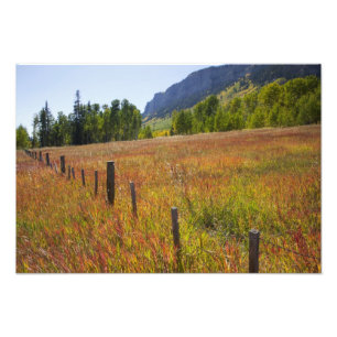 Foto EUA, Colorado, San Juan National Forest, ao longo