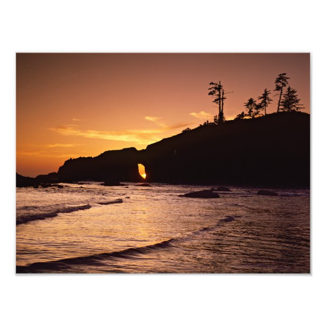 Foto EUA, Estado de Washington, Parque Nacional Olímpic (Frente)