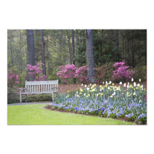 Foto EUA, Geórgia, Pine Mountain. Uma fronteira de