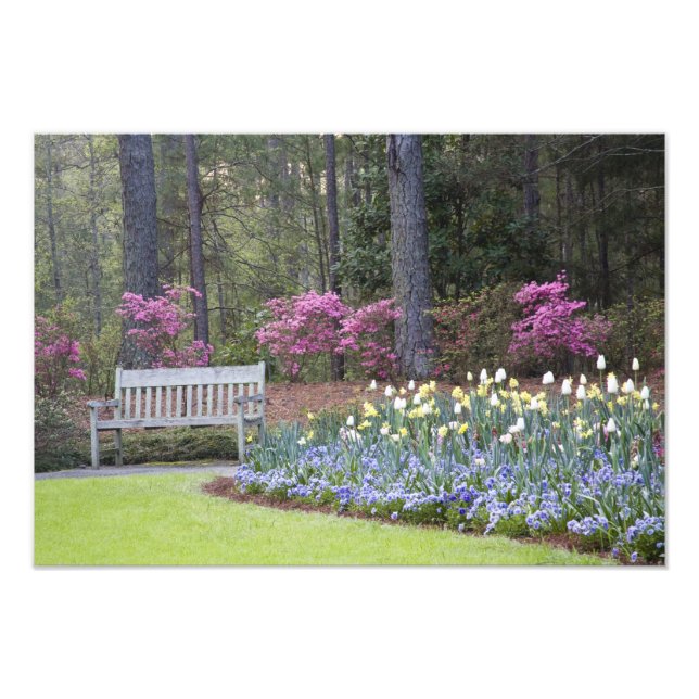 Foto EUA, Geórgia, Pine Mountain. Uma fronteira de (Frente)