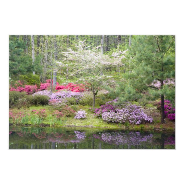 Foto EUA, Geórgia, Pine Mountain. Uma mistura de (Frente)